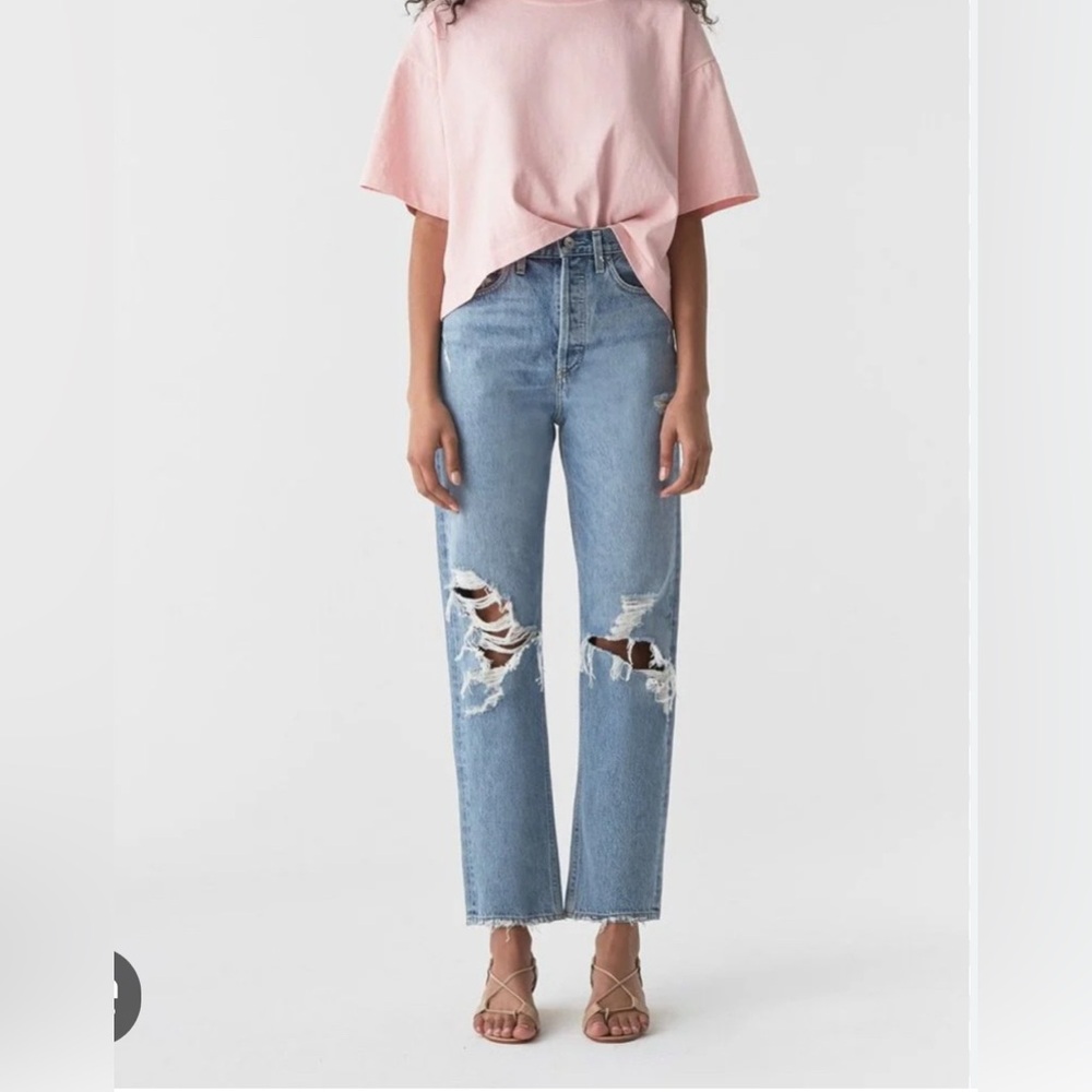 Agolde 90s Pinch Waist Straight Leg High Rise